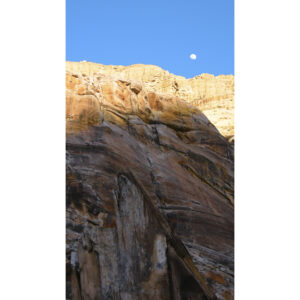 C1_DSCN1268