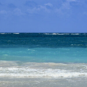 C1_DSCN3110
