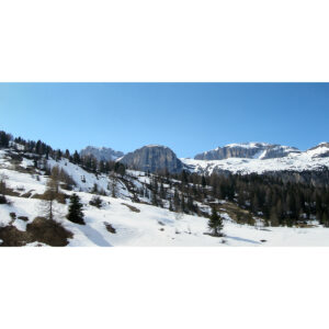 C1_DSCN5407