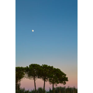 IG_moon-over-pines_MG_4105