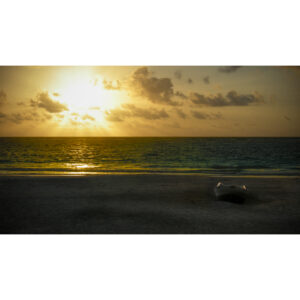 Tulum-Last-dawn-DSCN3220